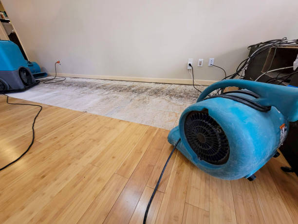 Professional Water Damage Repair technician working in Silver Lake, MN